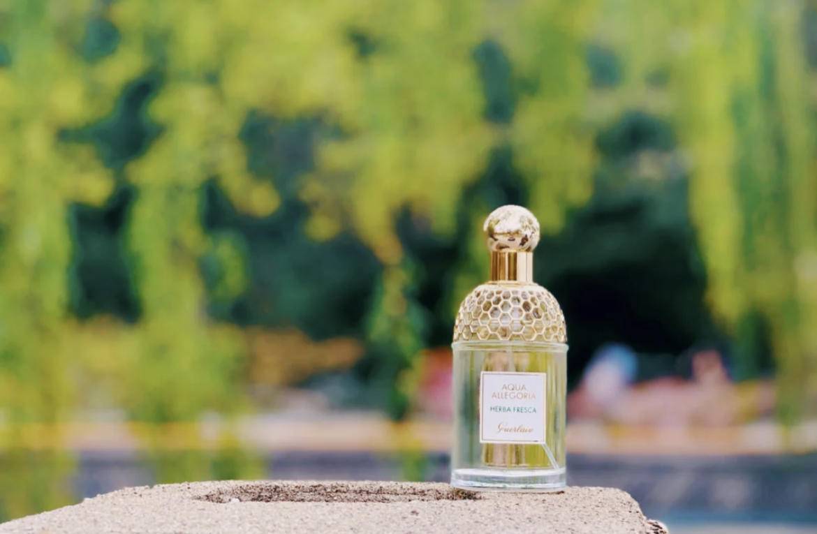 山茶花|温度-10度！超级清凉，简直就是炎热夏日必备！