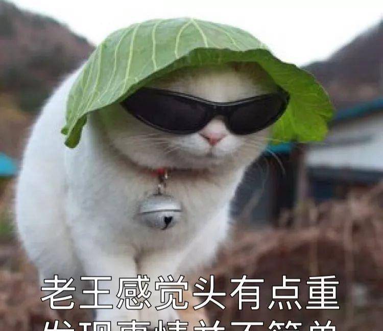 389cd66ce34240b3bc66a87dd0ed4d76.jpeg