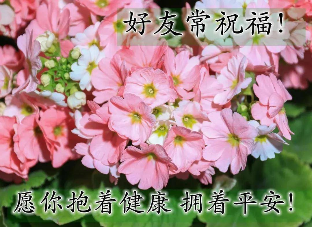 原创2021年7月9日星期五清晨早上好问候祝福图片周五最新早安图片带字