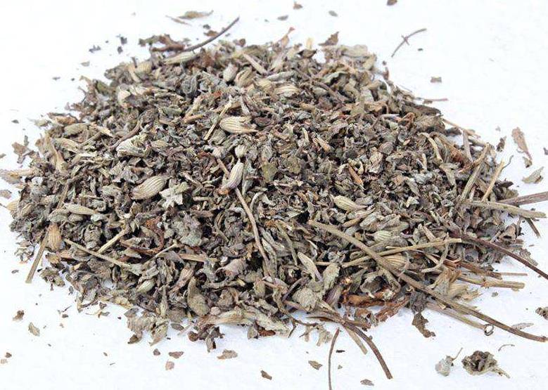 什么叫猫薄荷 5f4eaf8c322142eba273b72839369970.jpeg