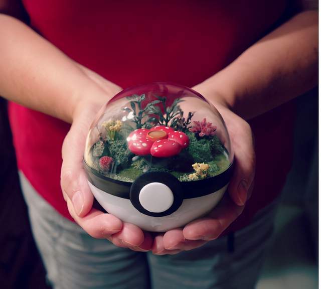 精灵之境 评测 麻雀虽小 五脏俱全将本格箱庭进行到底 玩家