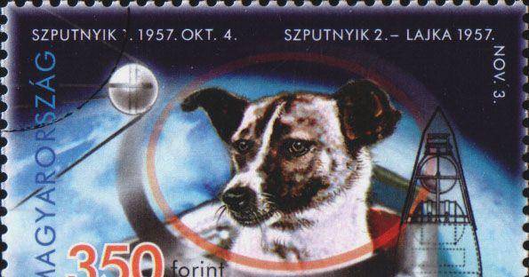 原创60年前被送上太空的小狗莱卡如今怎么样了
