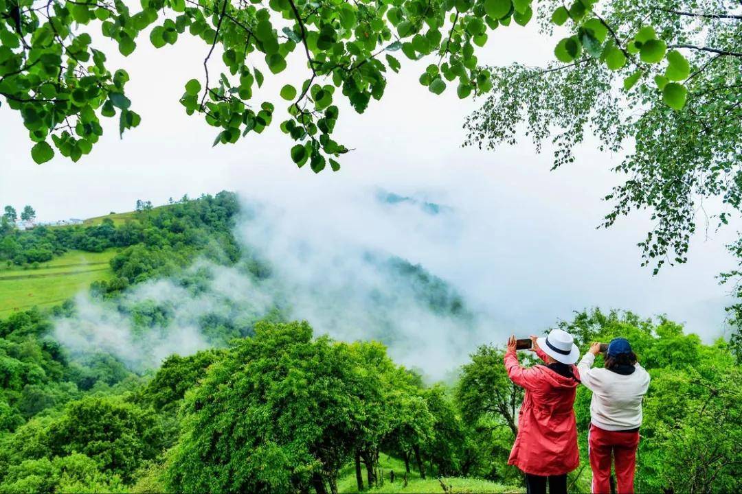 夏日来|夏日来关山草原，收获整个世界的温柔！