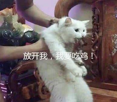 8be95dee69ef49239c8500167d2db5f1.jpeg