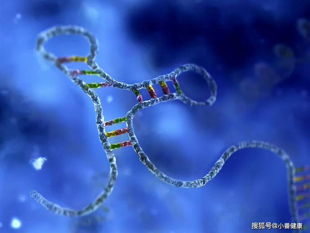 数据|乙肝在研新药JNJ-3989+NA，2a期数据，可以有效降低所有标志物