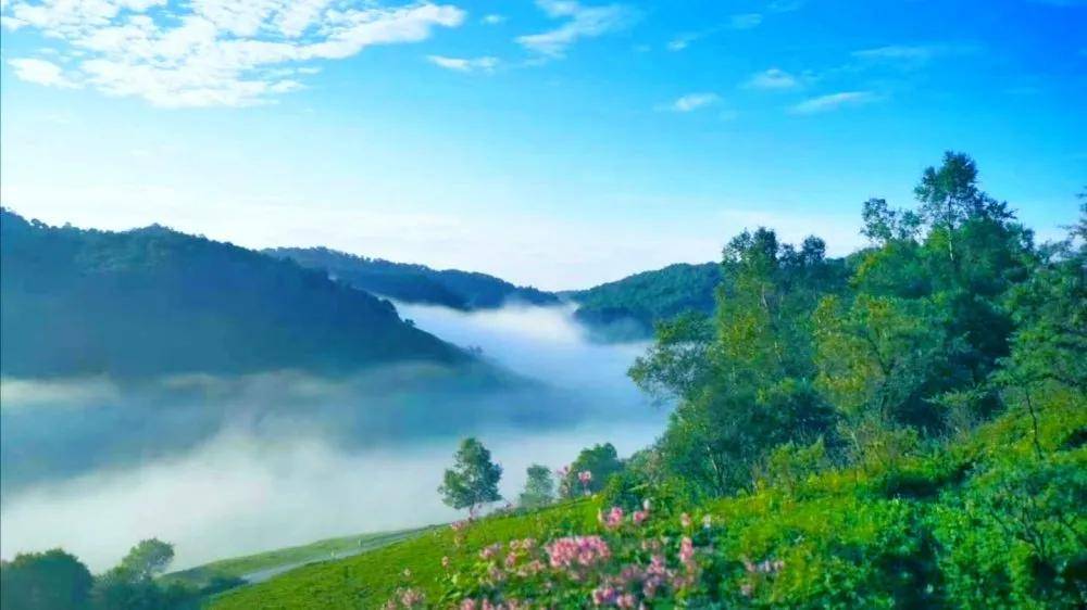 夏日来|夏日来关山草原，收获整个世界的温柔！