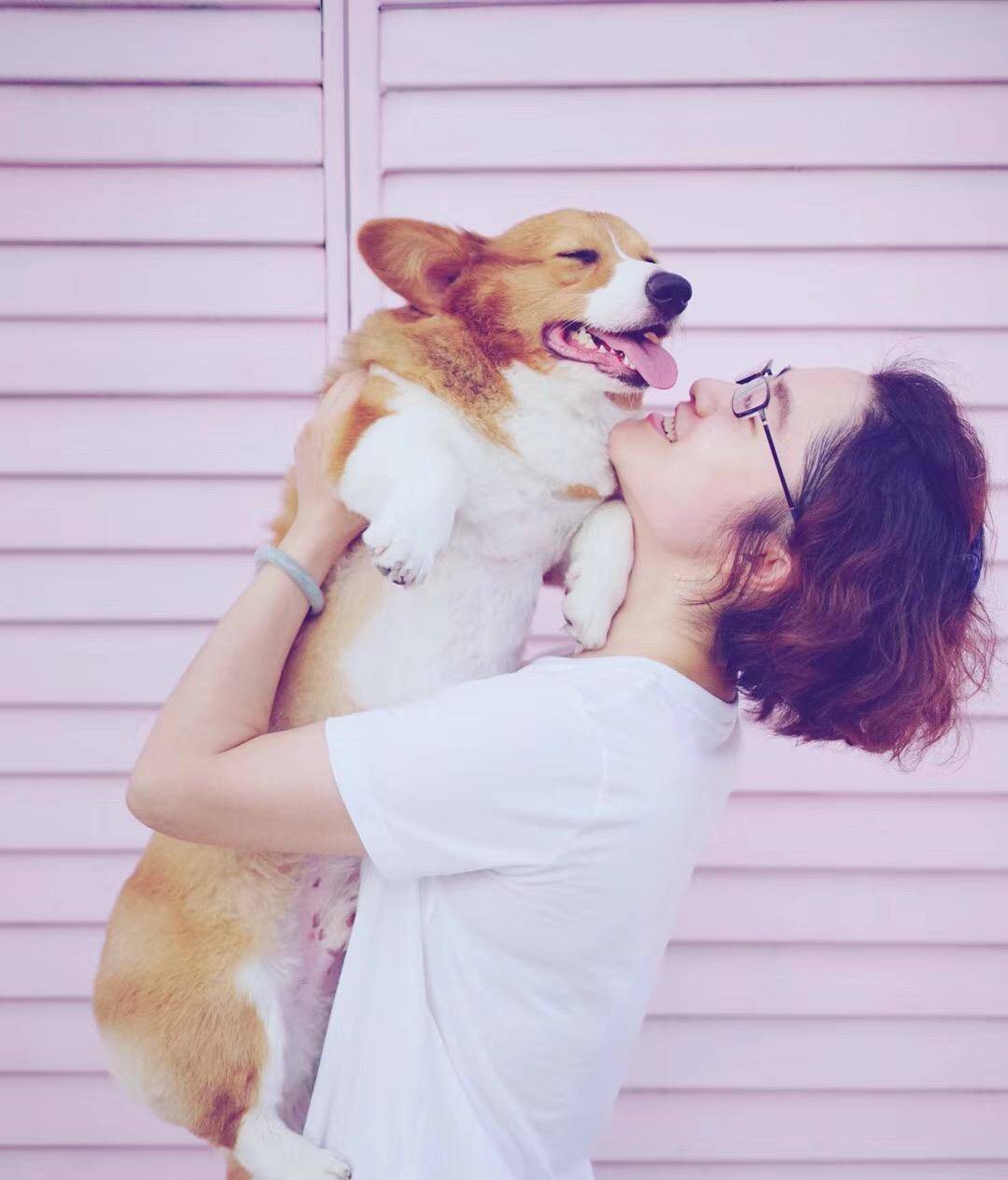 观点评论|ins风宠物写真，养这么多柯基，啥家庭啊家里有矿啊