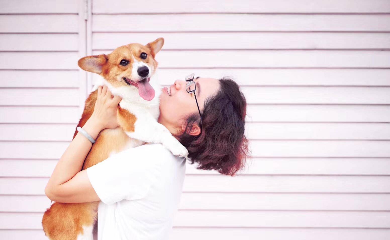 观点评论|ins风宠物写真，养这么多柯基，啥家庭啊家里有矿啊