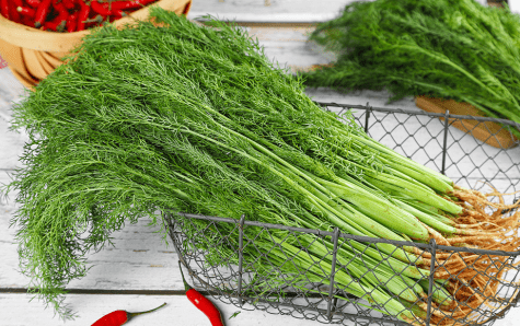 女士|高血脂“克星”大公开！避免做这几件事，血管干净寿命长