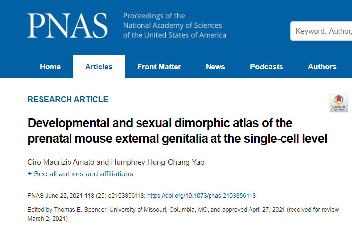 亚型|单细胞测序最新研究进展(2021年7月）