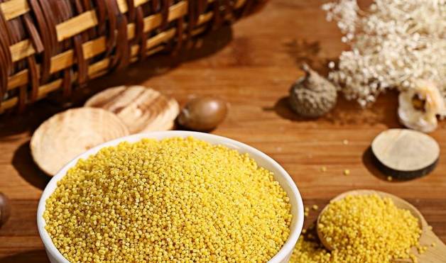 啥时候种小米 73ccf0dd340540b7b04217b8ac9c558d.jpeg