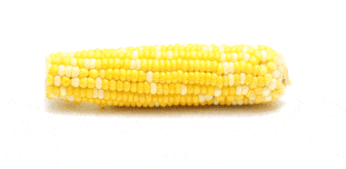 92114a84a4f0480aa98a42c7c46dace3.gif