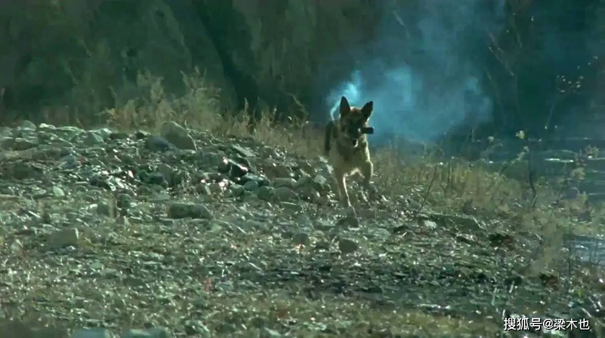 《犬王》评分降至2.2,时隔28年,这位导演成了影史上的奇耻大辱