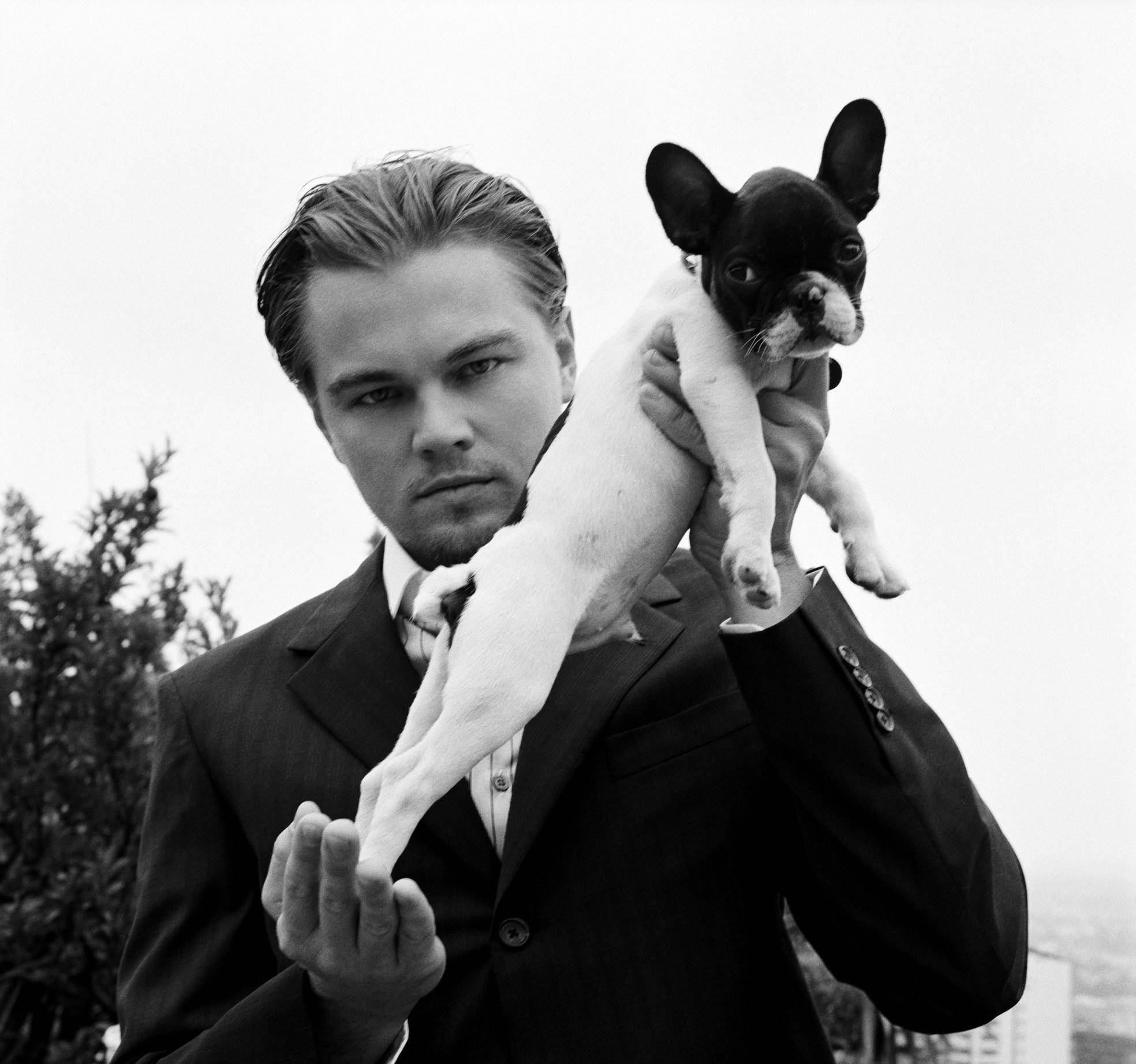 观点评论|柯基风靡全球,但本地人却把它当土狗,不喜欢的原因主要有3个