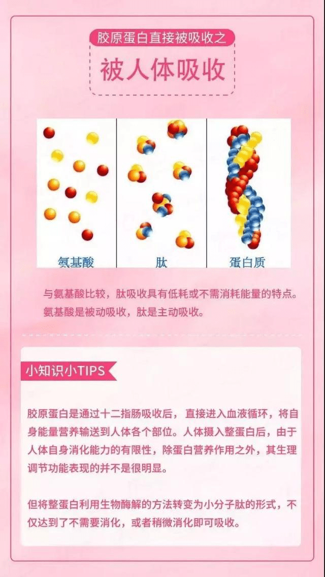 人体|紧致水润肌·养成术||胶原蛋白真的那么重要吗？