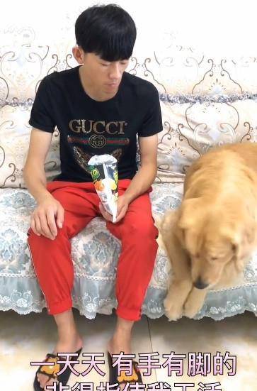 机灵鬼|主人吃零食渴了指使金毛去拿水，这货为了报复拿了桶20升的水来