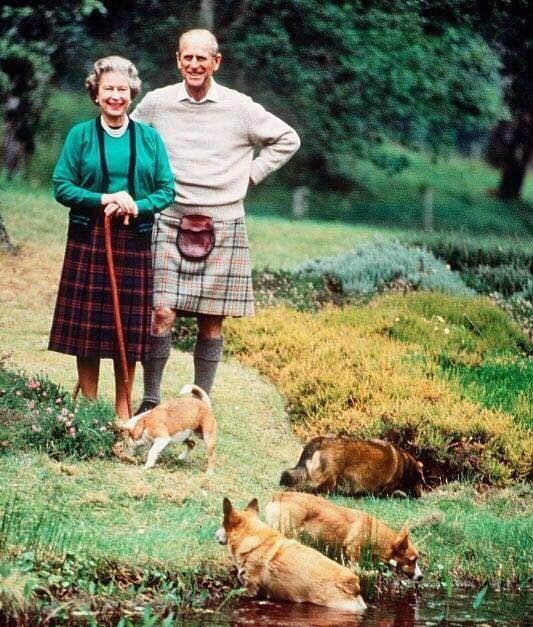 尖儿|英国女王和短腿柯基那些事:开除给狗吃罐头的厨师,亲王吃它的醋