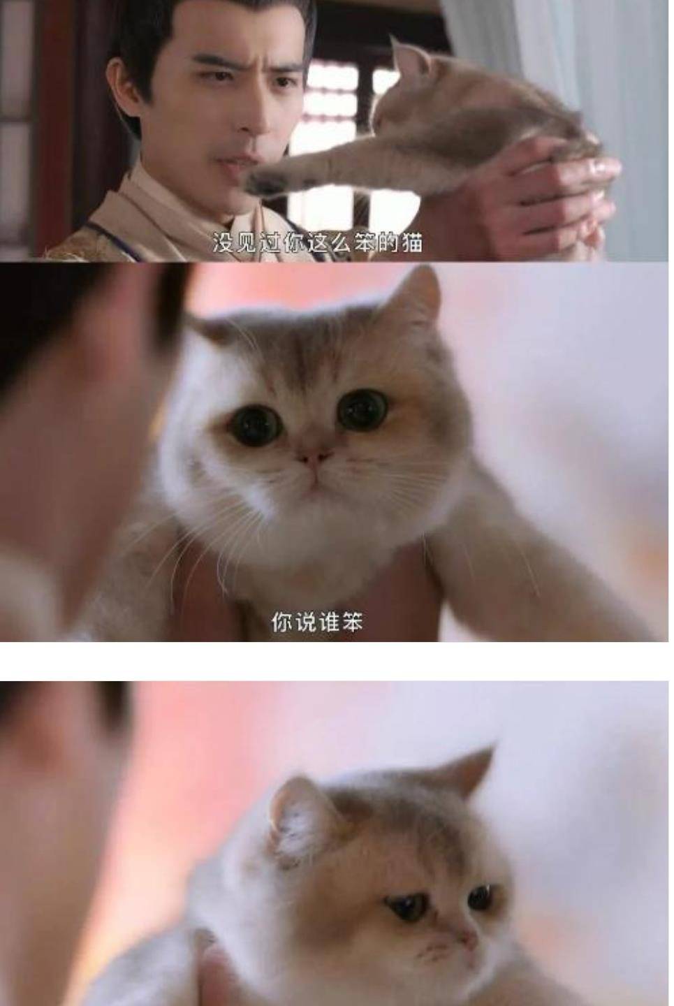 7f01fe52587444069b5ee067f3df10dc.jpeg