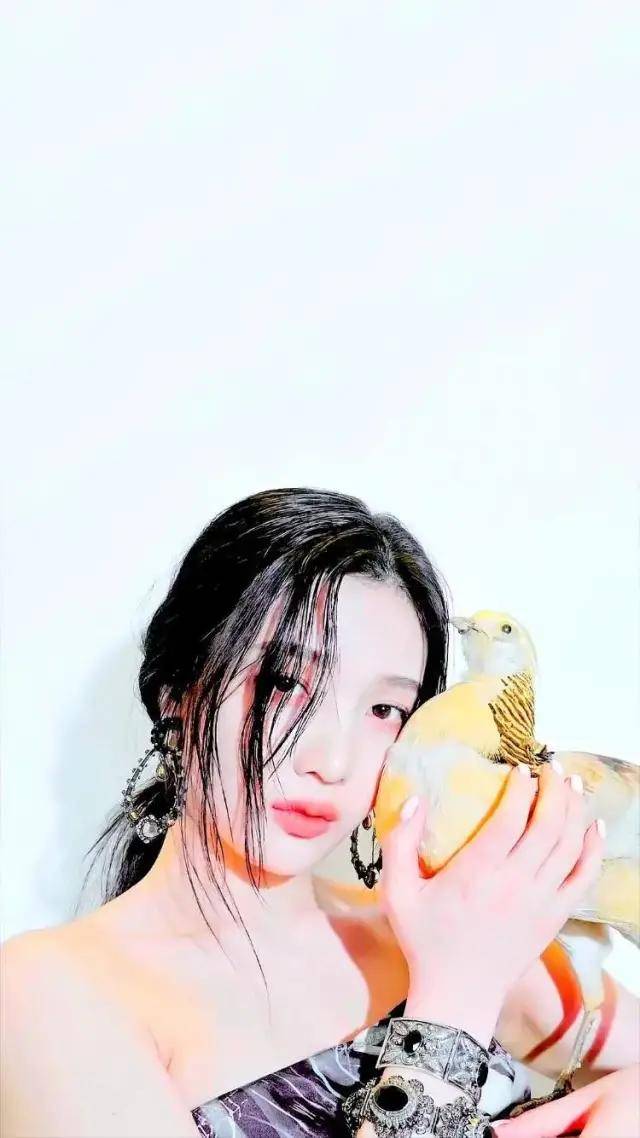 感觉|为什么有人的审美高级、有人的审美低级？
