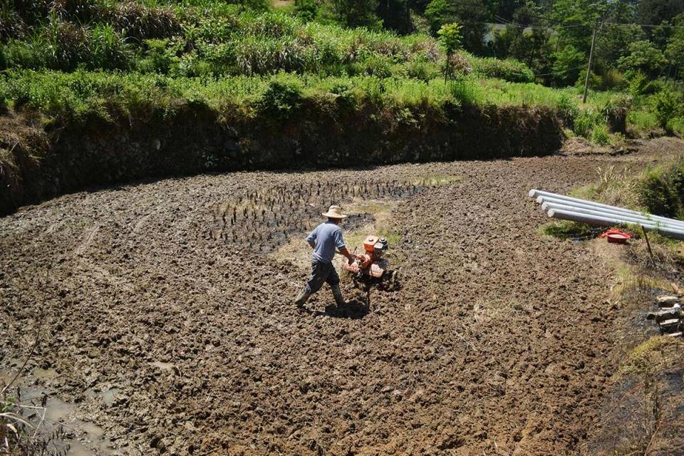 大山中发现4户人家,1位村民田里干活,看忙成啥样_上山