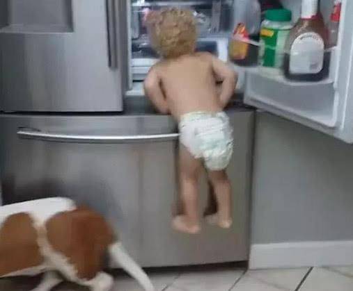 气话|熊孩子叫来狗狗偷零食,宝妈闻声赶来,眼前的惊喜令她哭笑不得