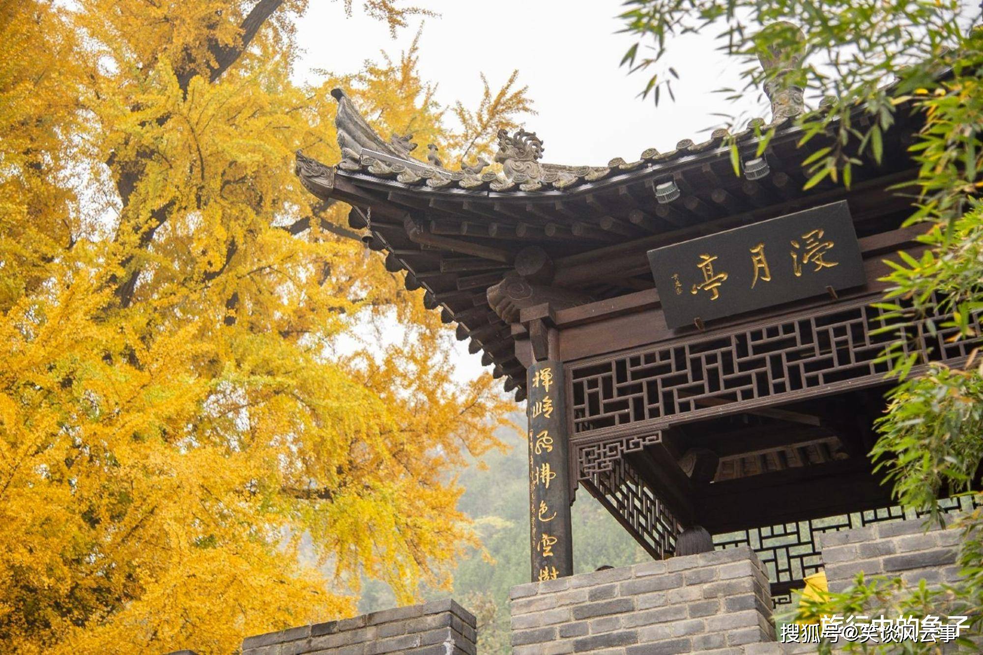 秦岭深处冷门寺庙，却藏着一棵无价之宝，据说和李世民有关