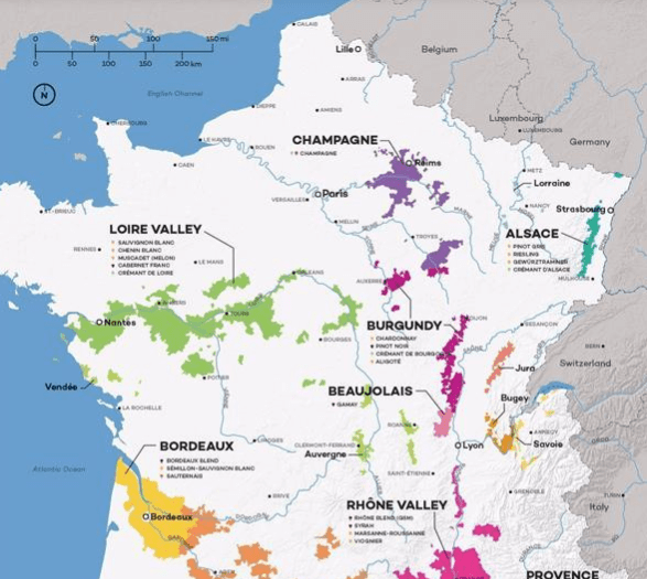 产品|葡萄酒公司要做好葡萄酒卖点的提炼