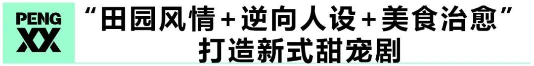 田园|专访《亲爱的农夫先生》总制片人王端：持“田园情结”利刃，血战分账剧赛道
