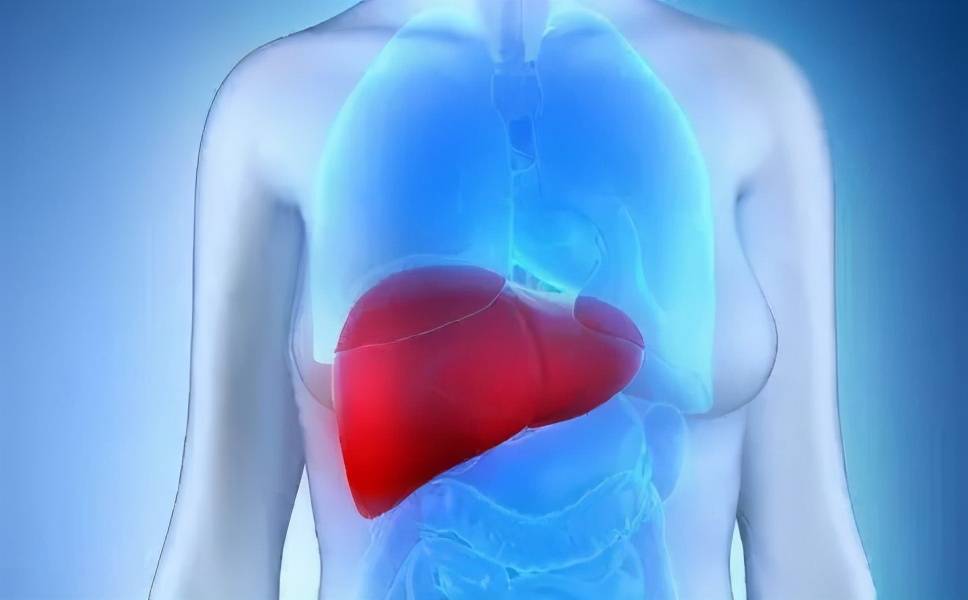 什么|乙肝患者要注意什么?这3点很重要,不能忽视