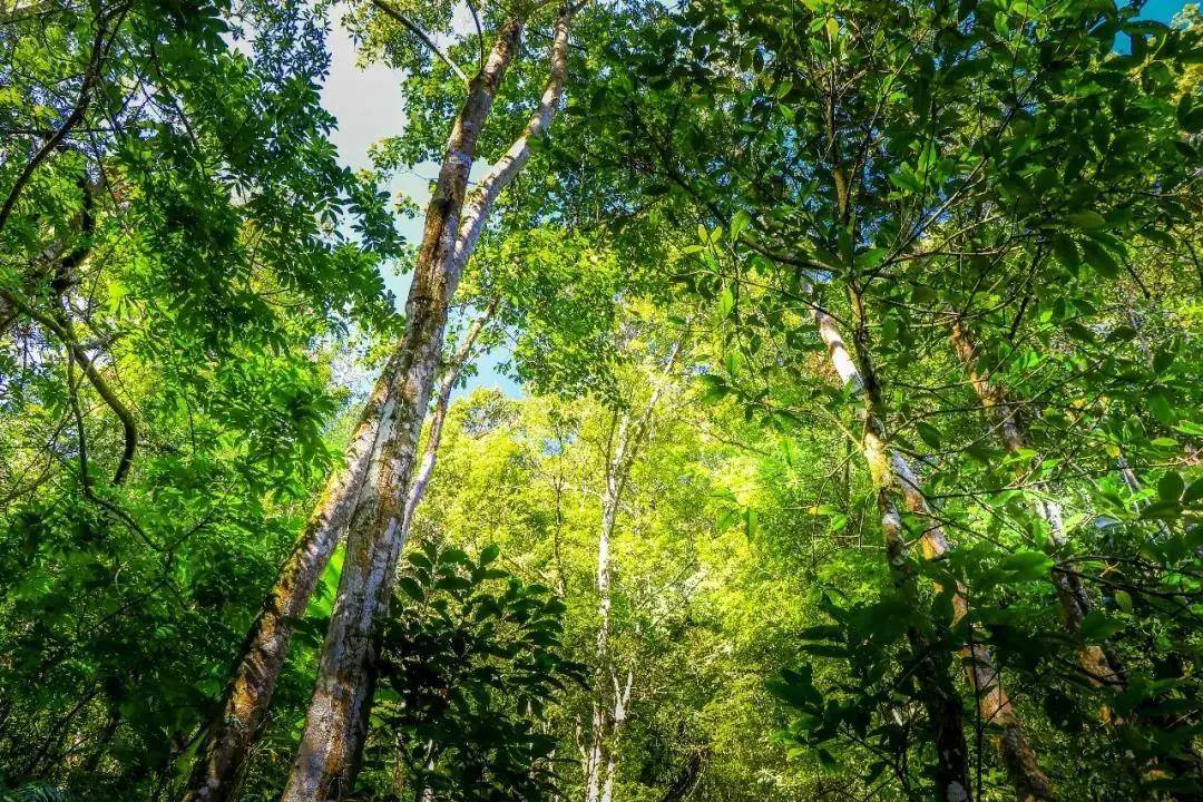 寻找|打卡腾冲最值得徒步旅行的地点，一起穿山过水，寻找诗与远方！