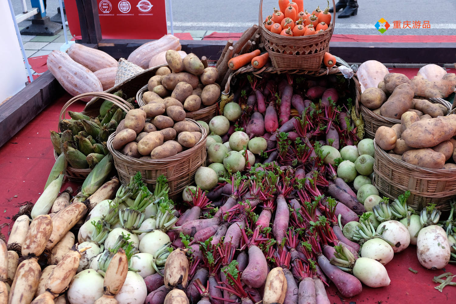 重庆七大特色产业解析 年产值均超百亿 已成为地区经济支柱 柑橘