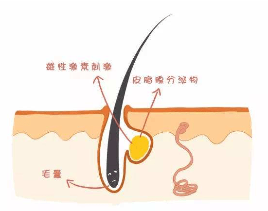 夏天|“油头满面”，是你吗？夏天的油腻脸蛋，该何去何从~南阳艾美美肤专家有话说