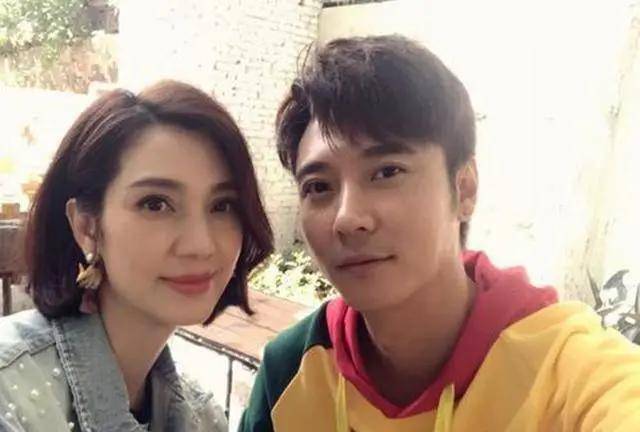 问题|给中年李嘉欣换上刘亦菲同款肉鼻头，会变什么样？