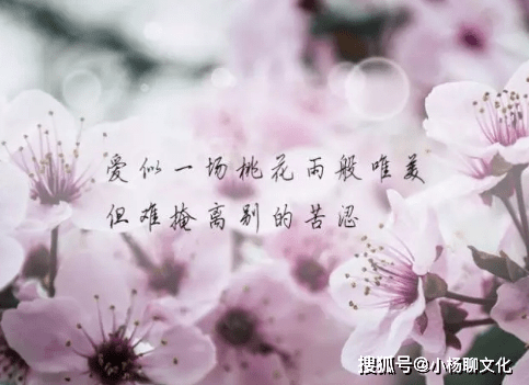 02b00115ad504d9b857bca9321d1fba2.png