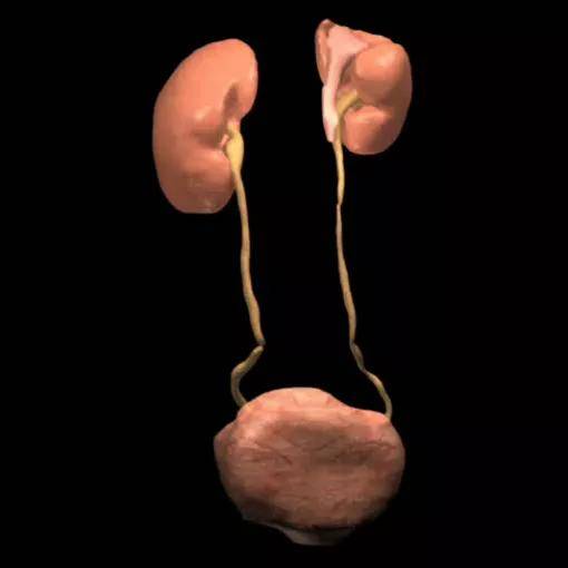 成像|【科室推荐】西安工会医院影像科