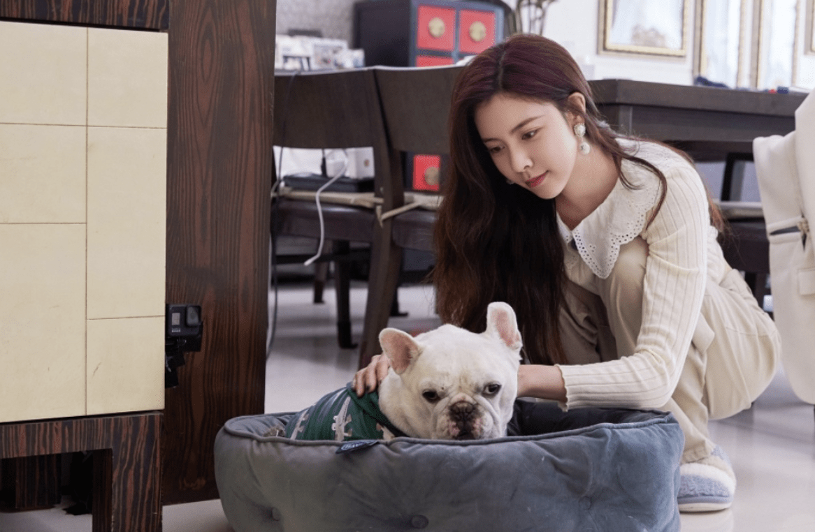 毕竟,她是演员身份出道,也曾在《神犬小七3》,《恋爱先生》,《穿越