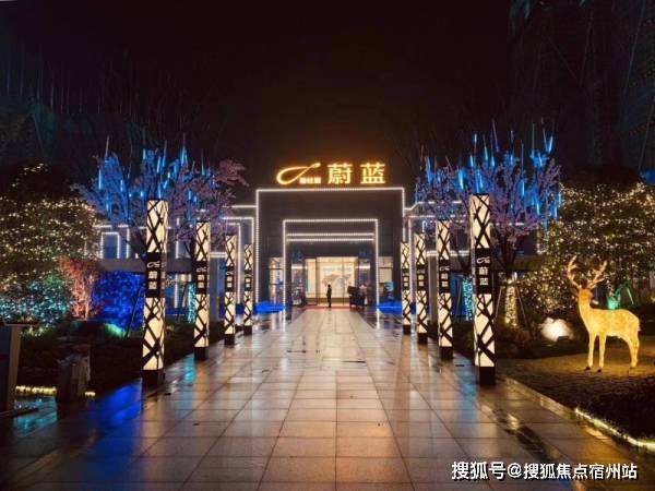 碧桂园蔚蓝——嘉兴市独山港经济开发区属于嘉兴港区也是环沪*一站官网