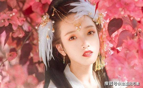 龙国公主，一部短剧的魅力与启示，龙国公主，短剧的魅力与启示