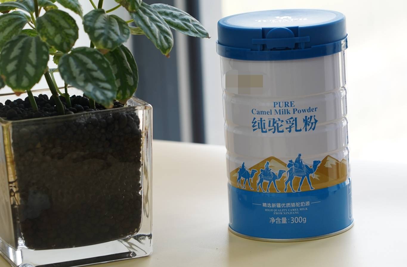 选择骆驼奶时需要注意什么?骆驼奶粉的正确食用方法