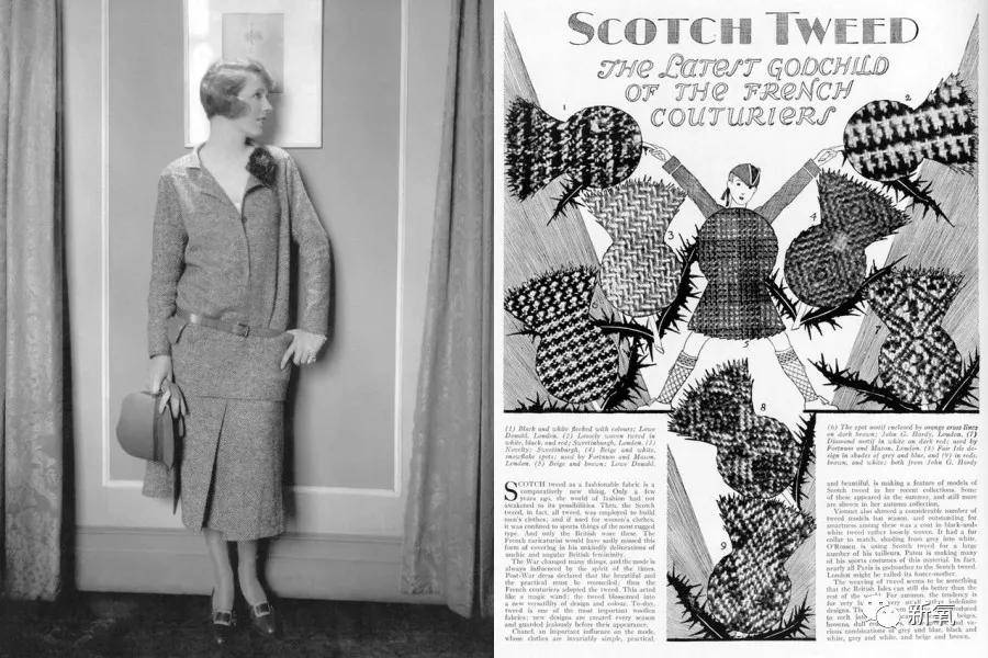 设计|这叫丑？我来告诉你她有多绝！