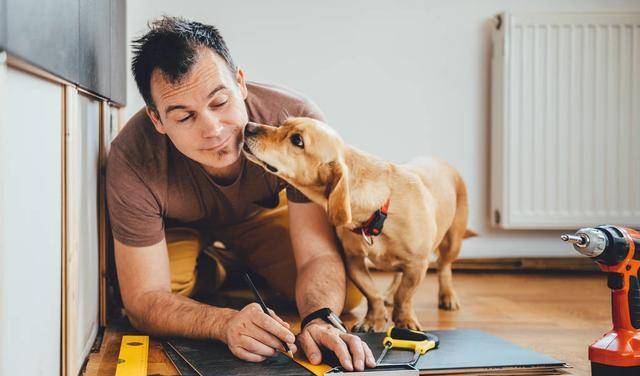 犯错|狗狗舔你就是因为“爱你”吗？其实原因，还可能是这5点
