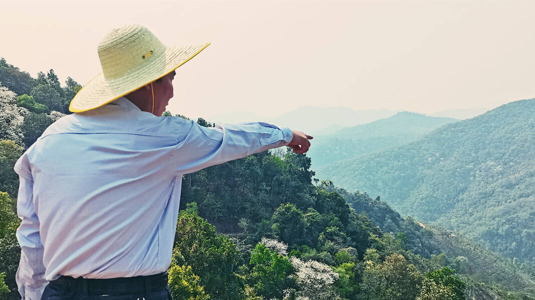 茶人故事 曼松茶农黄小林的传奇人生 父亲