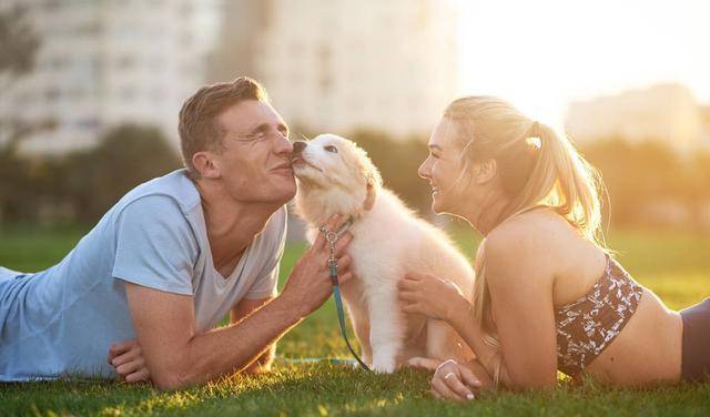 犯错|狗狗舔你就是因为“爱你”吗？其实原因，还可能是这5点