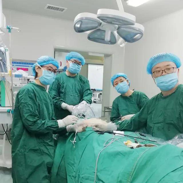 岚皋县|支医岚皋县创多项“首例” 留下带不走的“医疗队”