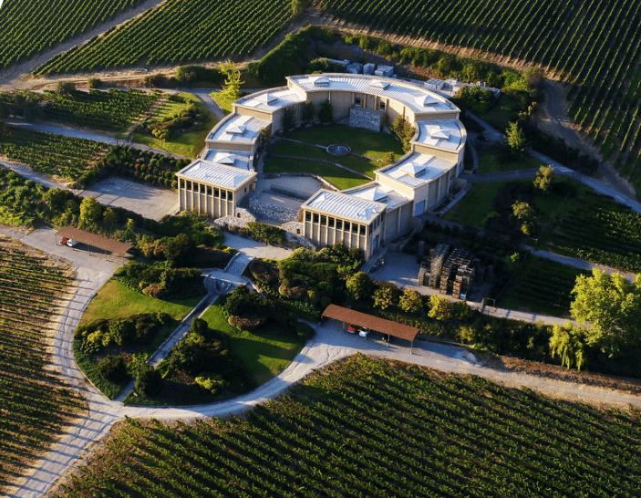 Wines|Wines of Chile明星阵容亮相Wine to Asia 2021,呈现智利魅力!