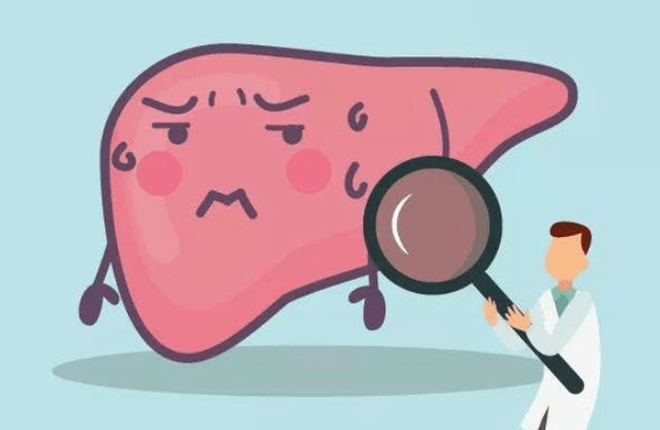 肝脏|养肝就是养命！这4个坏毛病迟迟不改，肝脏迟早报复你