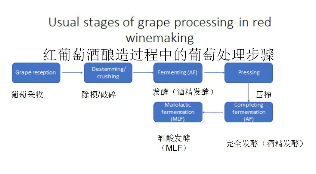 地区|别卡速：嘎善你听说过吗