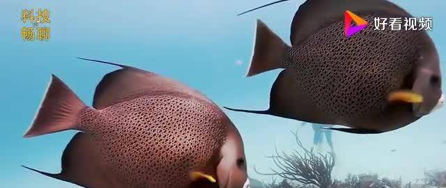 049b238647174f3c8f1c23327258df73.jpeg