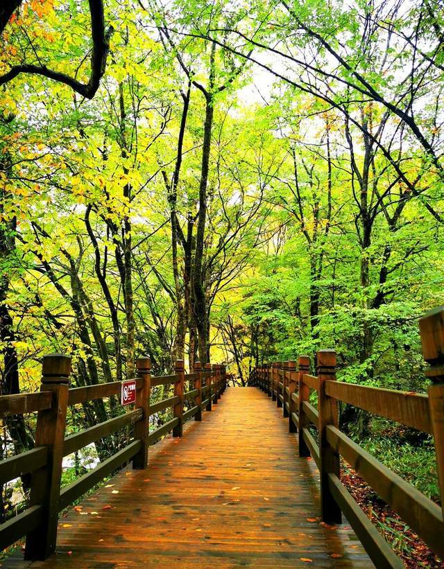 「光雾山」避暑圣地光雾山