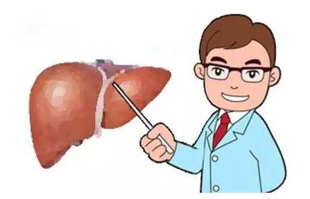 症状|“肝纤维化”和“肝硬化”傻傻分不清？肝纤维化能否逆转？